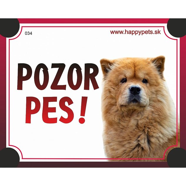 TAB 034 CHOW CHOW-